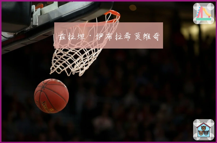 兹拉坦·伊布拉希莫维奇