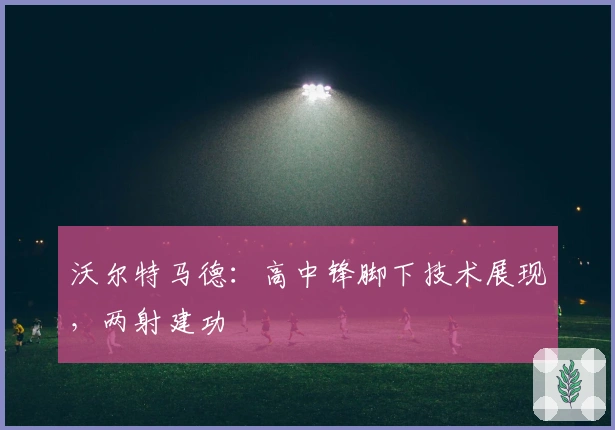 沃尔特马德：高中锋脚下技术展现，两射建功
